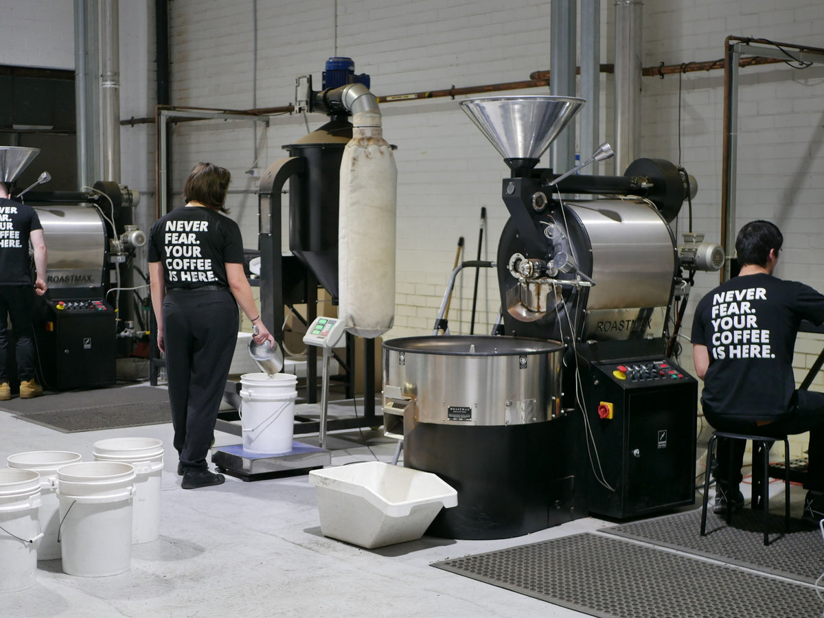 Roasting team roasting coffee at roastery